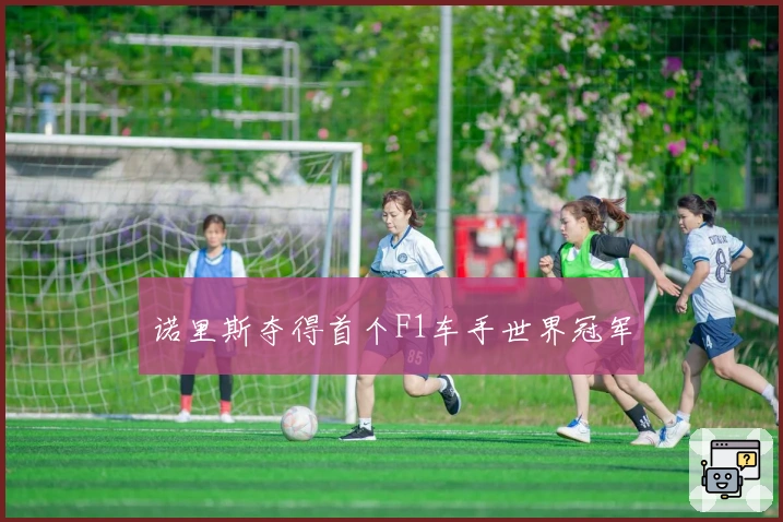 诺里斯夺得首个F1车手世界冠军