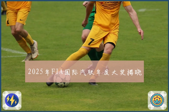 2025年FIA国际汽联年度大奖揭晓