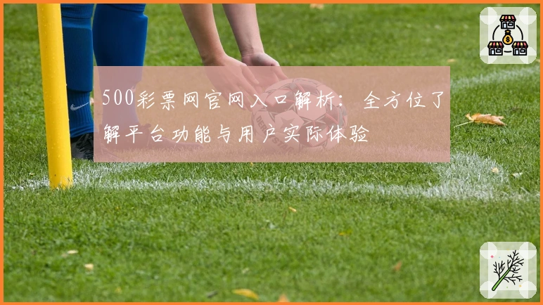 500彩票网官网入口解析：全方位了解平台功能与用户实际体验